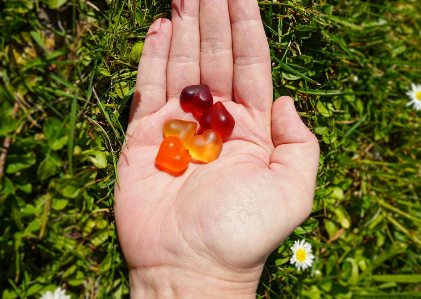 NATURFEH Fruchtsaftherzen liegen in einer geöffneten Handfläche über einer Frühlingswiese